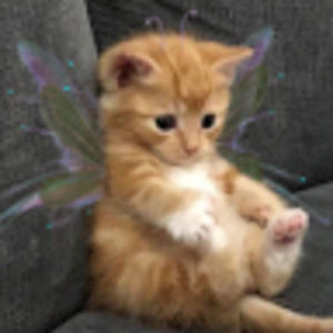 Meet your Posher, Olivia